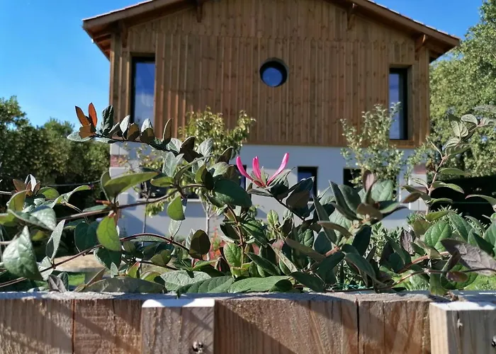 Les Callunes D'hotes Et Pour 2 Bassin D'arcachon 3*