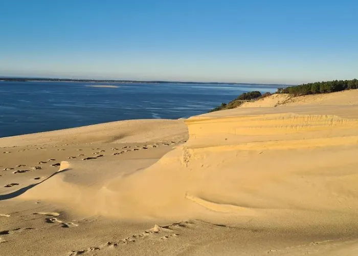 Les Callunes D'hotes Et Pour 2 Bassin D'arcachon ゲストハウス